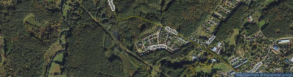 Zdjęcie satelitarne Storczykowa ul.